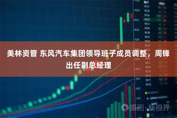 美林资管 东风汽车集团领导班子成员调整，周锋出任副总经理